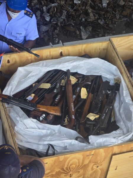 Afrique du Sud : destruction de 7 708 armes