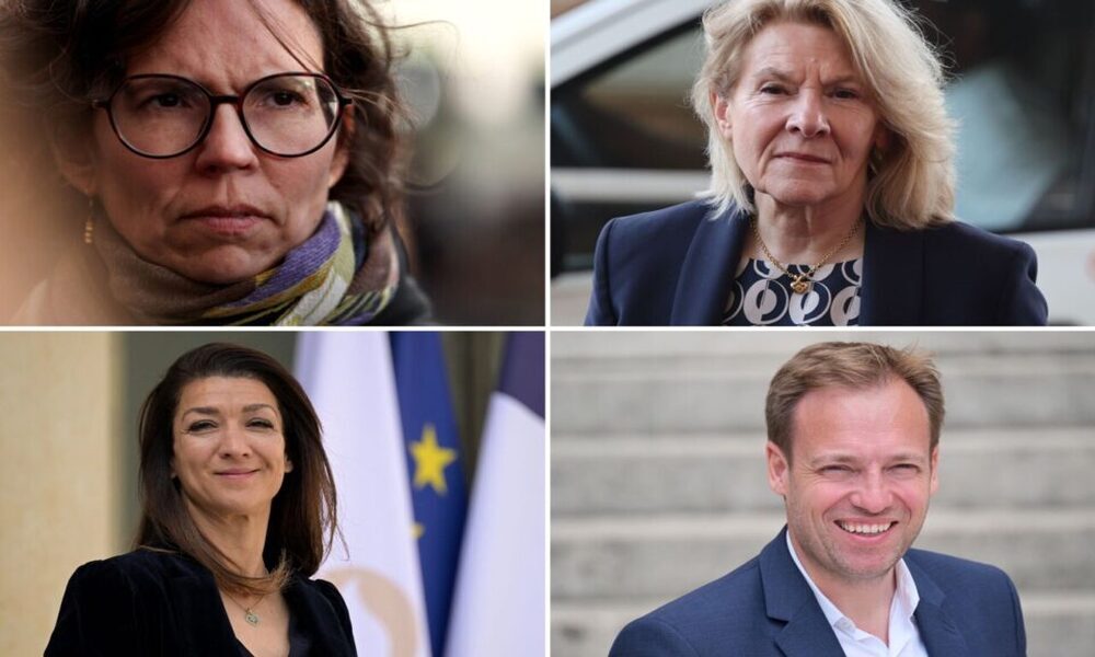 Remaniement ministériel partiel en France, 4 nouveaux ministres