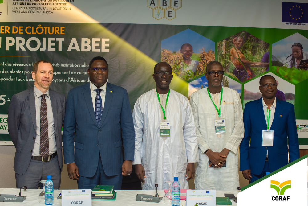 Projet ABEE: 6 ans d’amélioration variétale en Afrique de l’Ouest