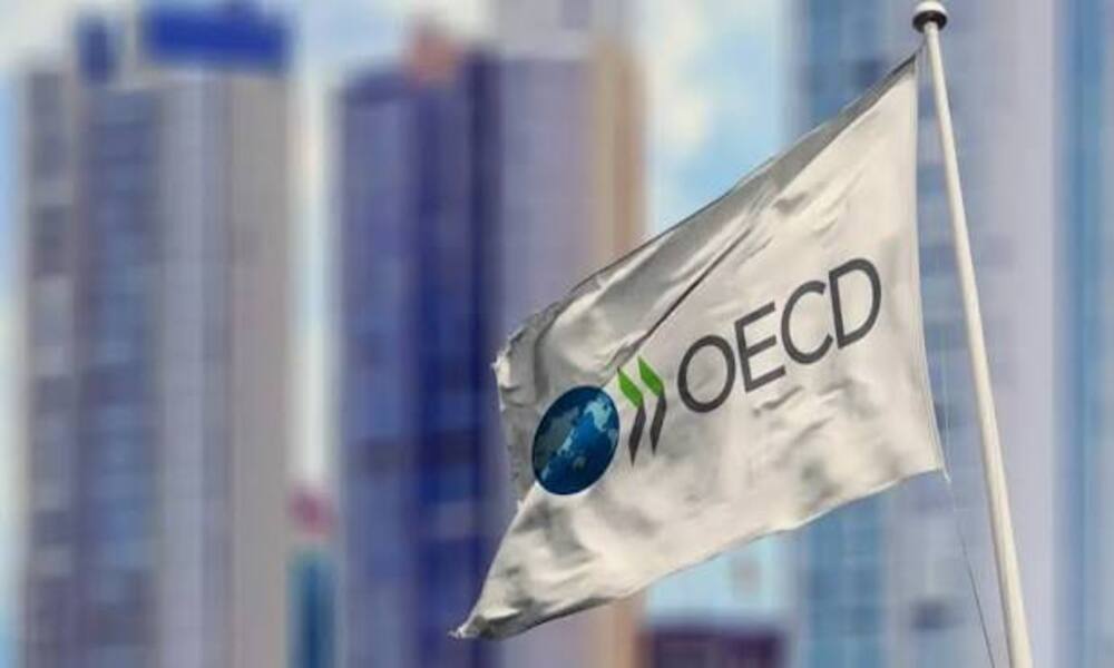 Morocco Advances in Anti-Corruption Efforts: OECD Report 2026