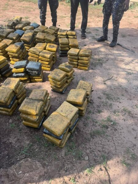 Ghana : du cannabis caché dans du charbon saisi à Techiman