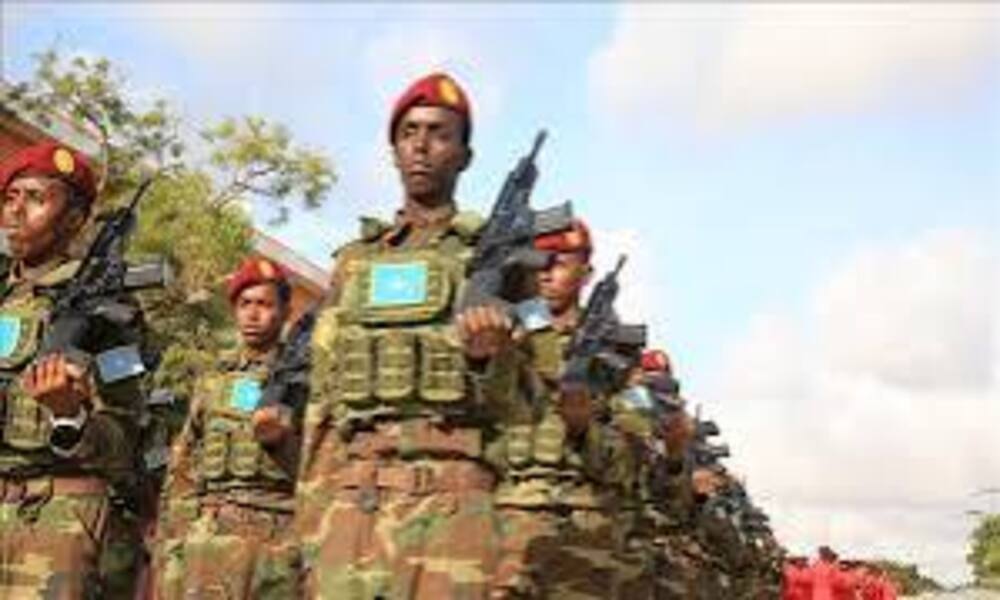 L’armée somalienne lance une nouvelle offensive contre al-Shabaab