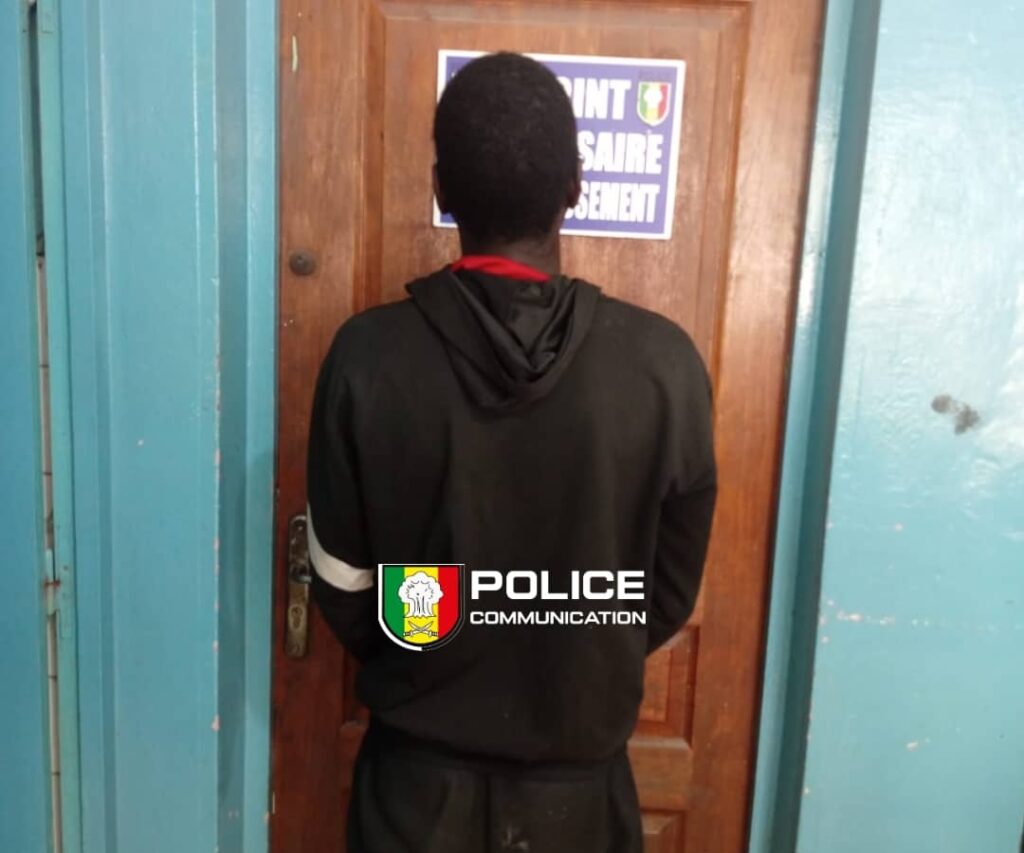 Sénégal : première saisie de Carfentanil, à Grand Yoff