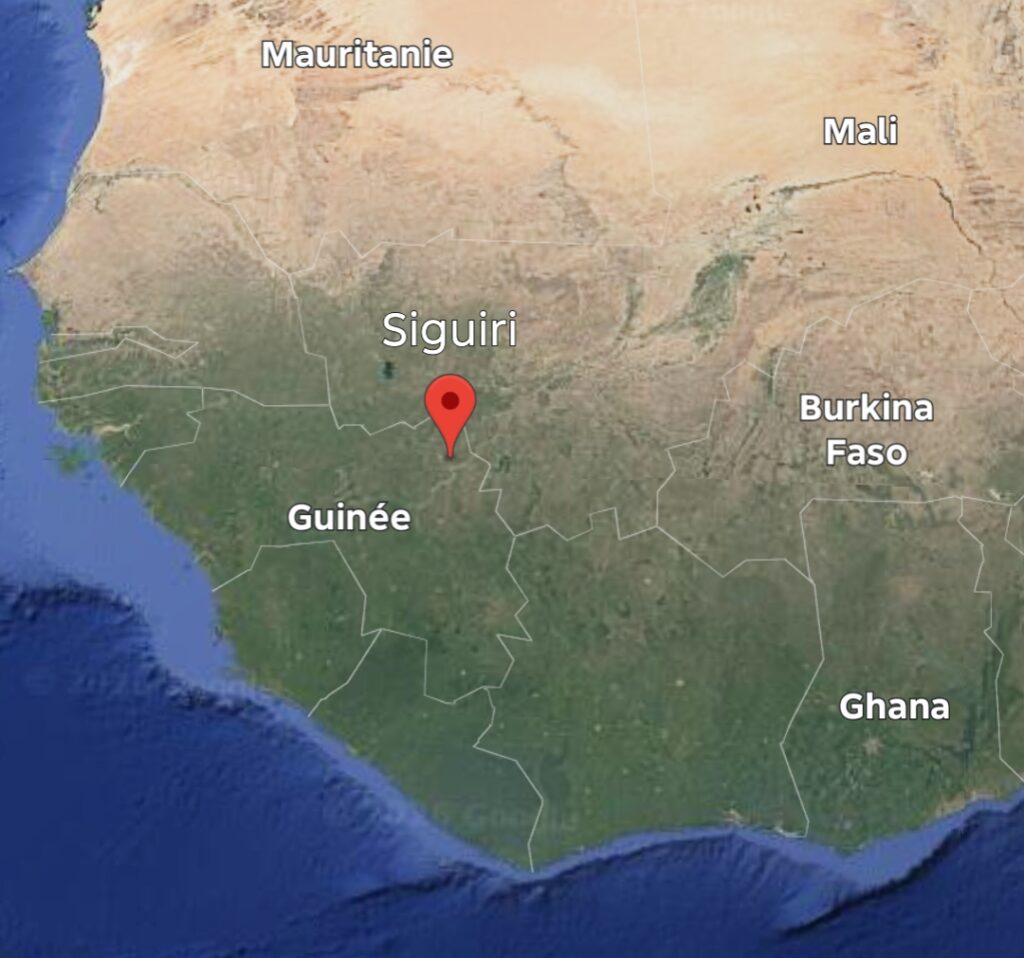 Guinée : des réseaux présumés liés au GSIM démantelés (Parquet)