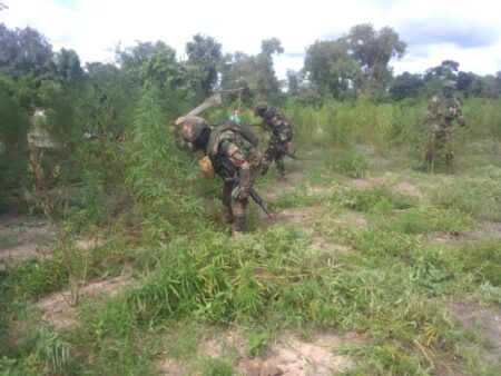 Sénégal : un soldat tué, 6 blessés lors d’un accrochage au sud