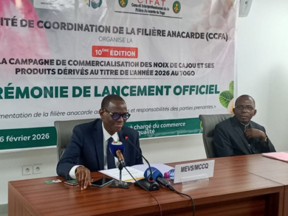 Togo : régulation renforcée de la commercialisation de l’anacarde