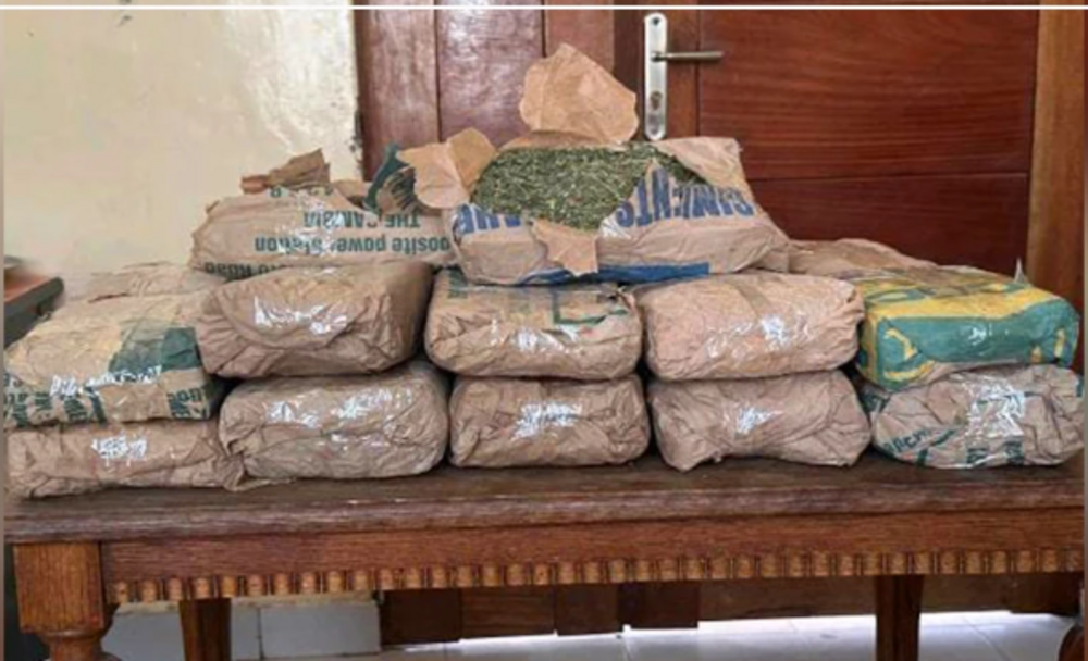 Sénégal : 23 kg de chanvre indien interceptés à Saly