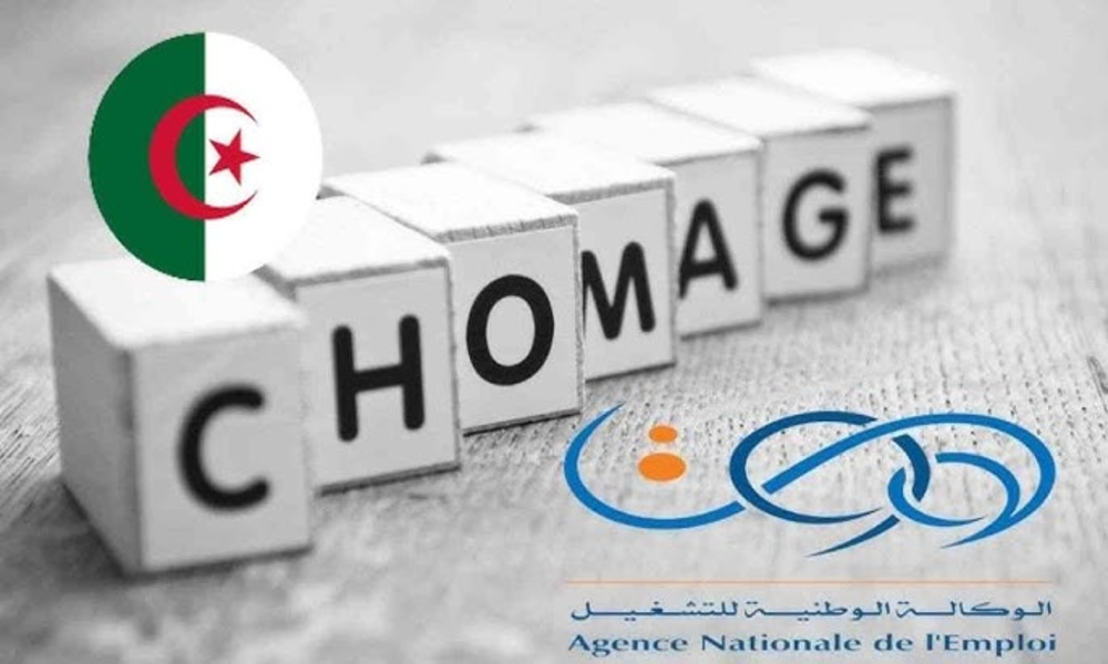 Algérie : l’État veut élargir le rôle de la Cnac
