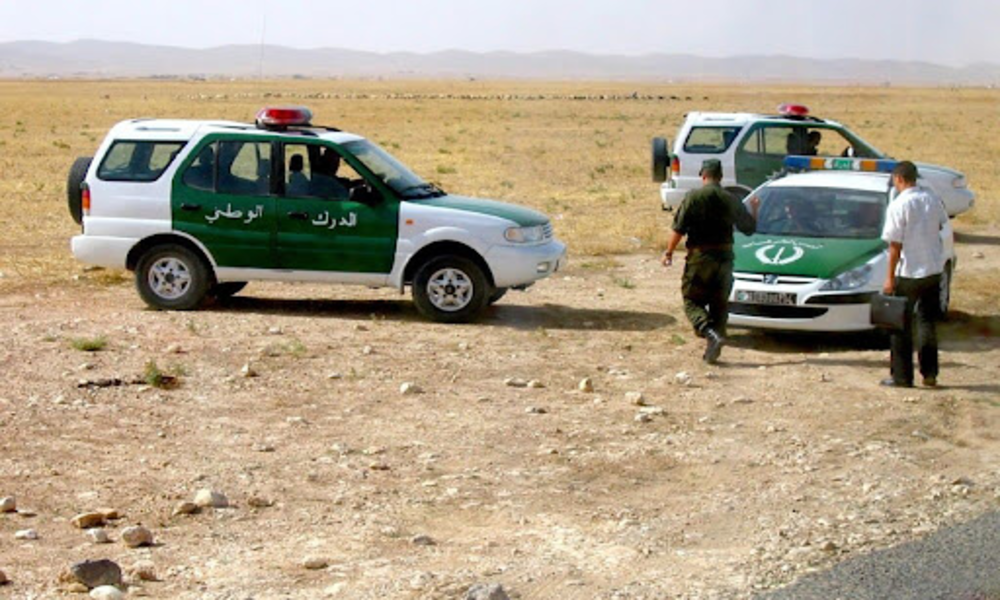 Algérie : insécurité rurale et recrudescence des vols de bétail