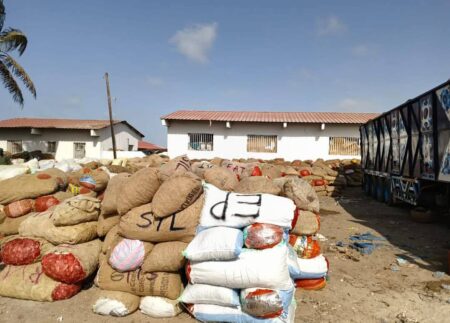Sénégal : plus de 2 500 sacs de produits issus de juvéniles de poissons saisis