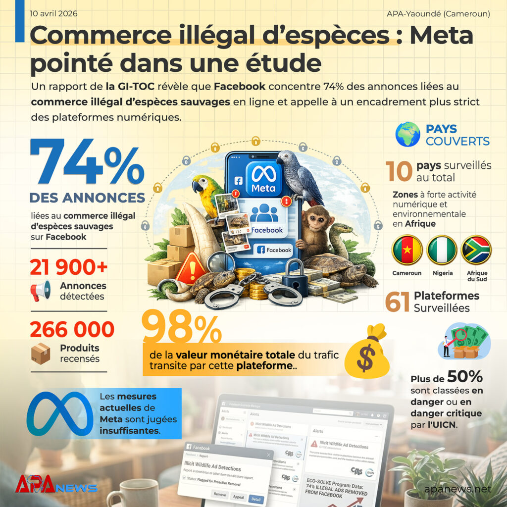Commerce illégal d’espèces : Meta pointé dans une étude