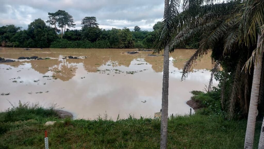Face à l’orpaillage, la SODECI protège l’eau à Yamoussoukro