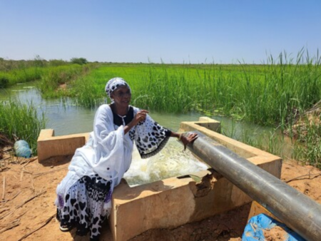 FAO : le Sénégal en modèle de gouvernance de l’eau pastorale