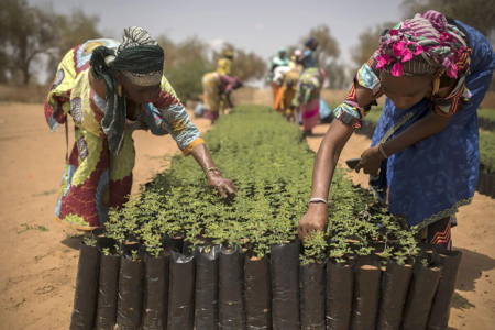 Sénégal : le projet RIPOSTES fait cap sur des résultats durables