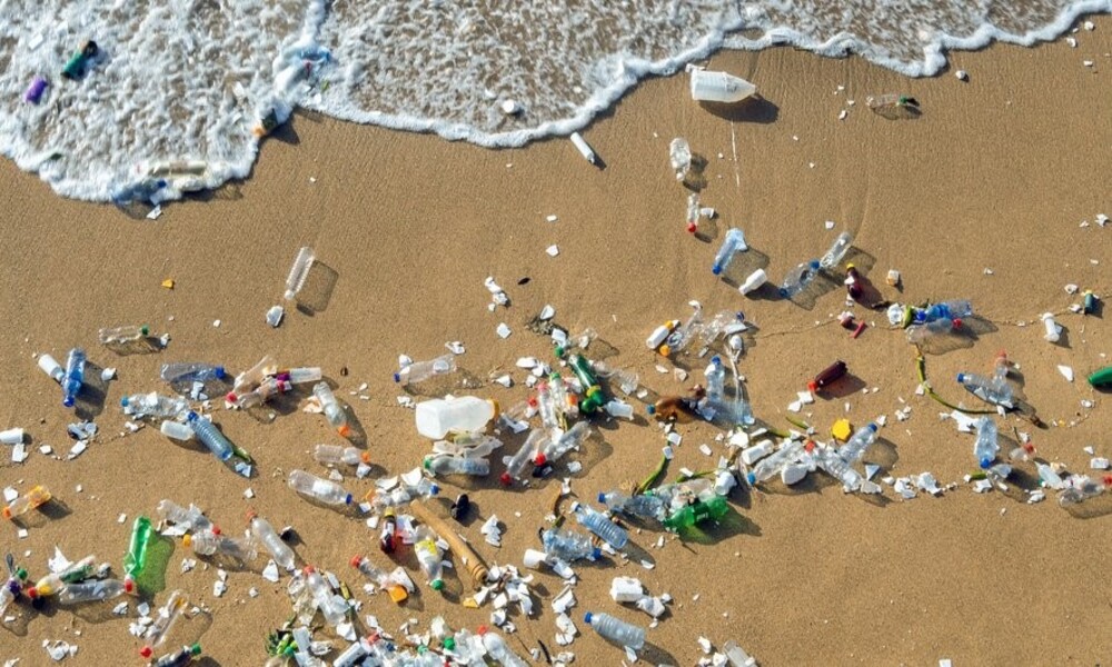 Tunisie : pollution du littoral et coûts économiques