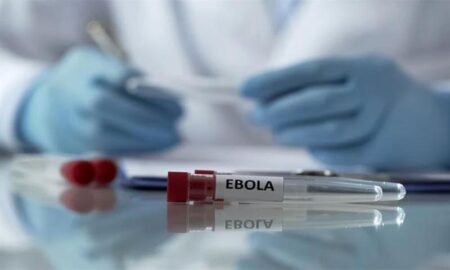 Egypte : aucun cas d’Ebola n’a été détecté