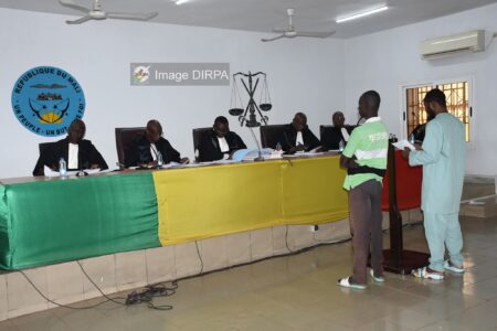 Mali : militaires et un opposant mis en cause dans les attaques