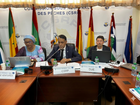 Pêche artisanale: l’Afrique de l’Ouest mise sur la concertation