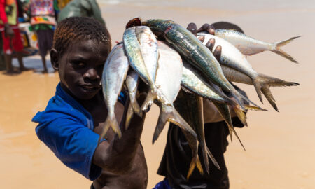 Pêche artisanale : un Groupe technique régional face aux défis