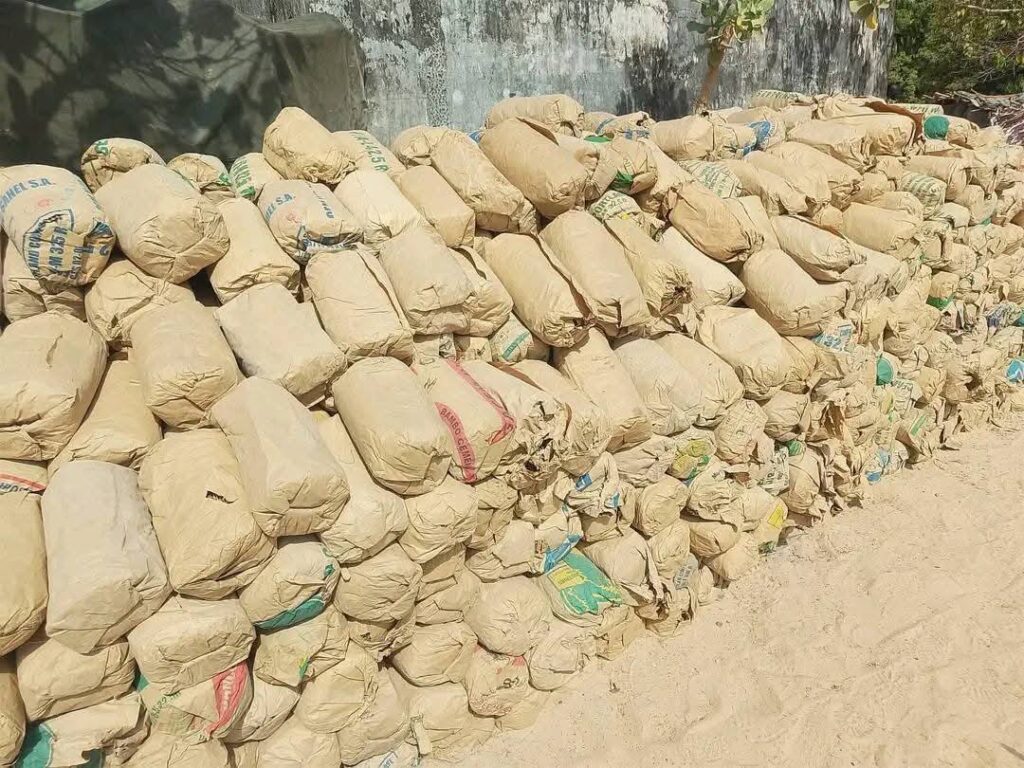 Casamance : 14 arrestations et saisie de 6 tonnes de chanvre indien
