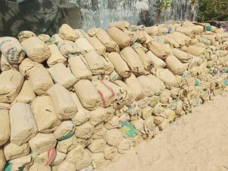 Casamance : 14 arrestations et saisie de 6 tonnes de chanvre indien