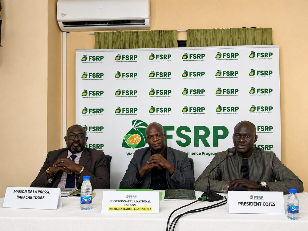 Sénégal/FSRP : 130 Mrds FCFA pour la résilience alimentaire
