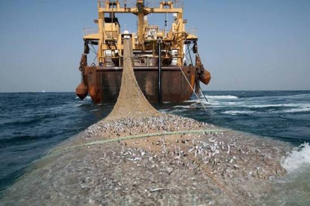 Sénégal : cinq licences de pêche créent la polémique