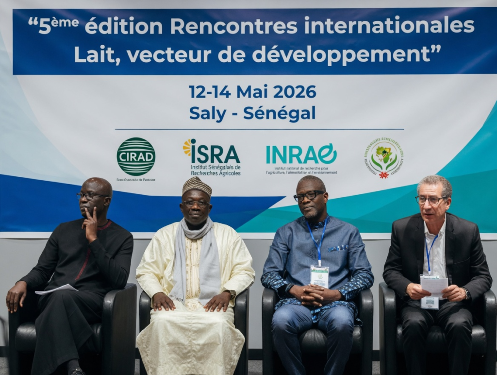 Sénégal : le lait local au cœur des ambitions ouest-africaines