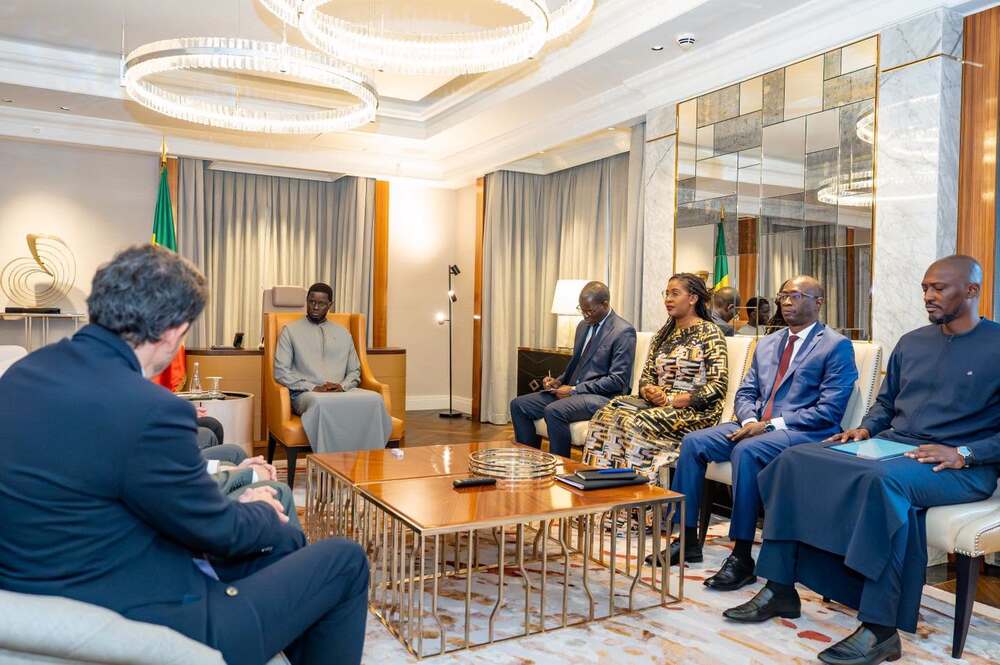 Sénégal-Allemagne : Faye mise sur l’énergie et l’économie