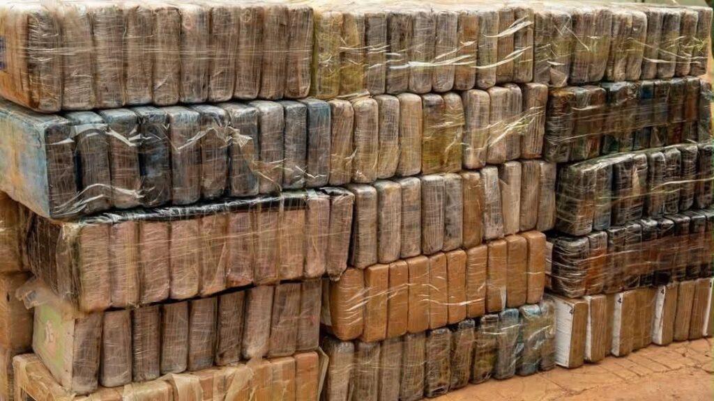 Sénégal : les Douanes saisissent 970 kg de cocaïne à Koumpentoum