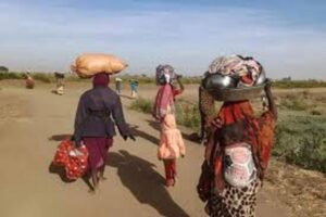 Soudan du Sud : violences à Jonglei et exode massif