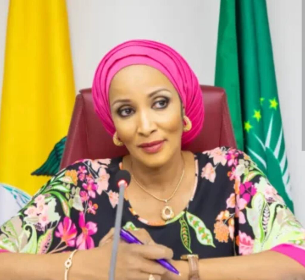 Nigeria : Odumegwu-Ojukwu fixe le cap aux nouveaux ambassadeurs en Afrique de l’Ouest