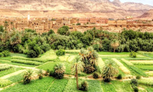 Maroc : six provinces sahariennes pour la résilience climatique