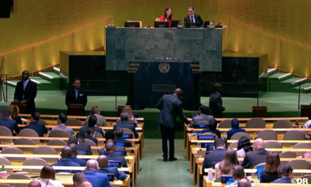 L’Érythrée élue au Conseil économique et social de l’ONU