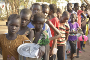 Soudan du Sud : des enfants survivent en mangeant des feuilles (ONG)