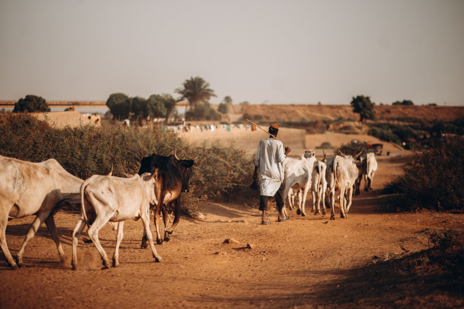 Sahel: pour une aide urgente à 24,3 millions de personnes (OCHA)