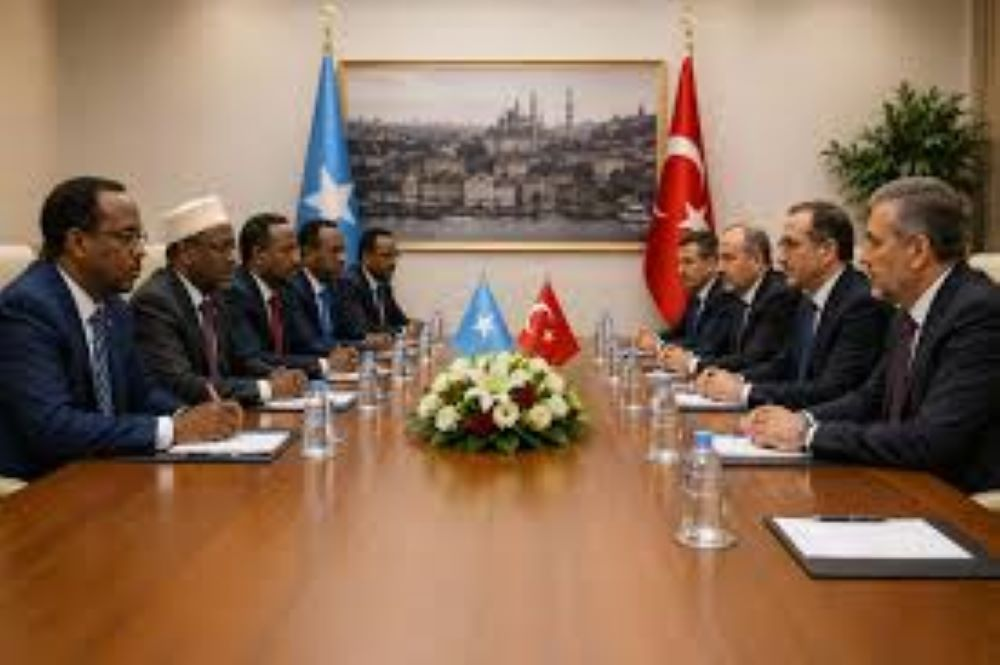 Somalie : médiation turque entre le gouvernement et l’opposition