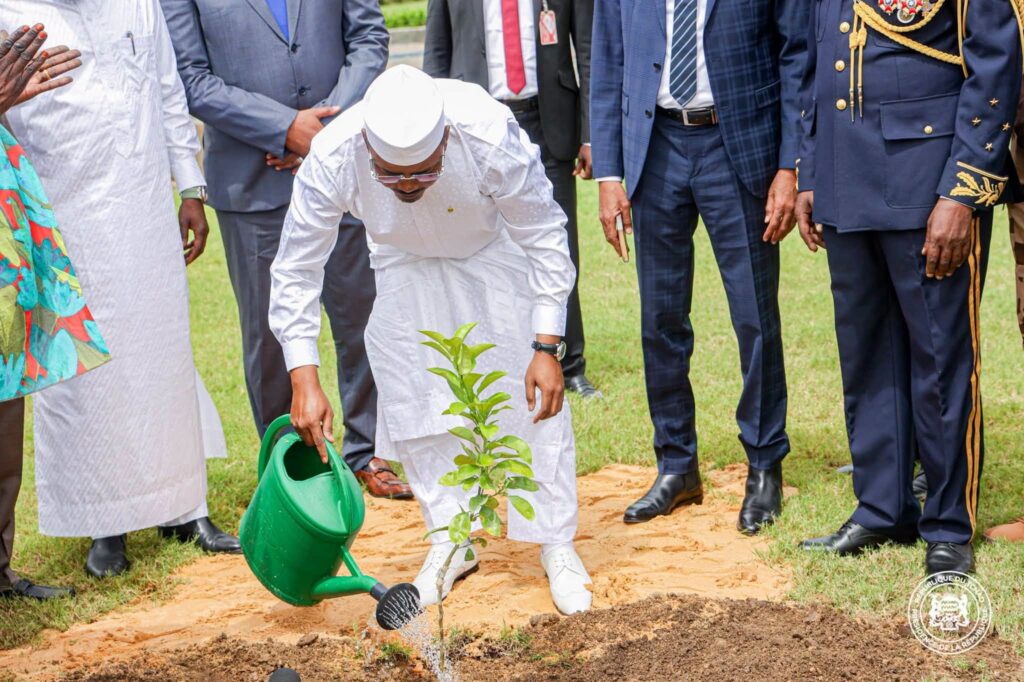 Tchad : Mahamat Idriss Déby lance la Semaine nationale de l’arbre