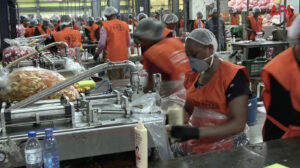 Côte d’Ivoire : le pays mise sur l’émergence de champions économiques locaux