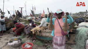 Ghana : un homme se mobilise pour sauver les raies-guitares de l’extinction