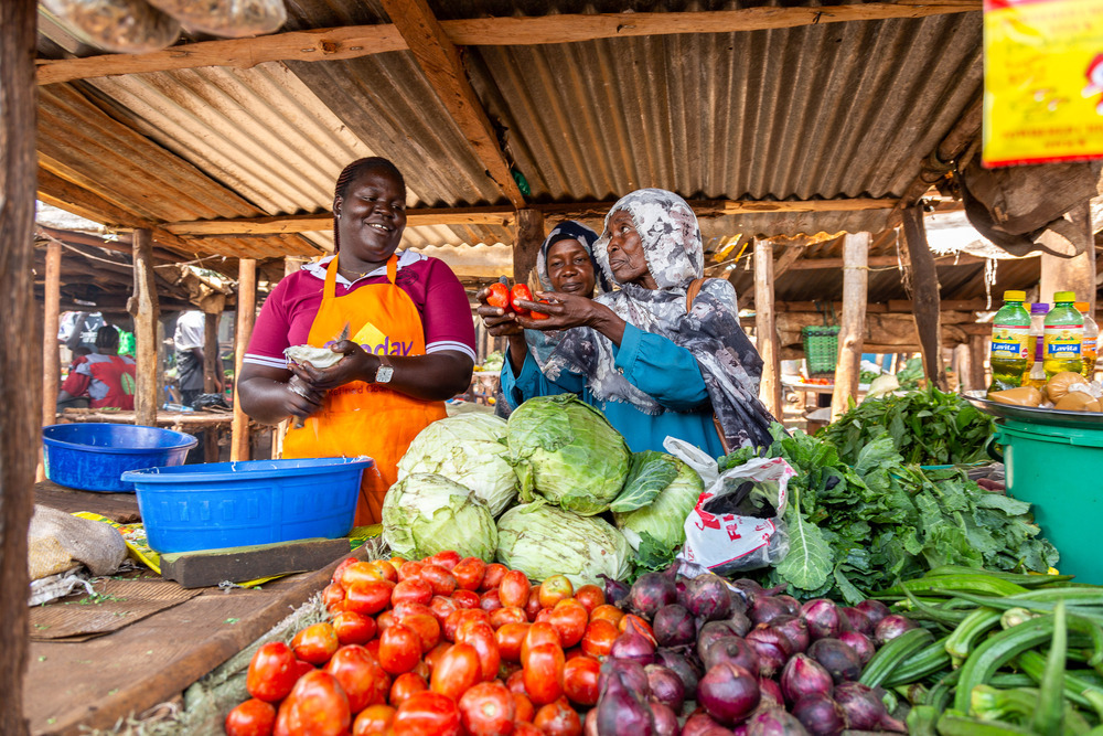 Sécurité alimentaire : le CERFAM prône des outils africains