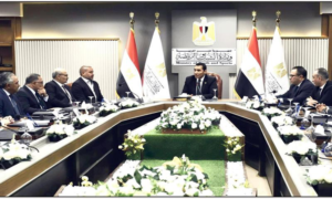 Egypte : fusions de clubs et professionnalisation du football