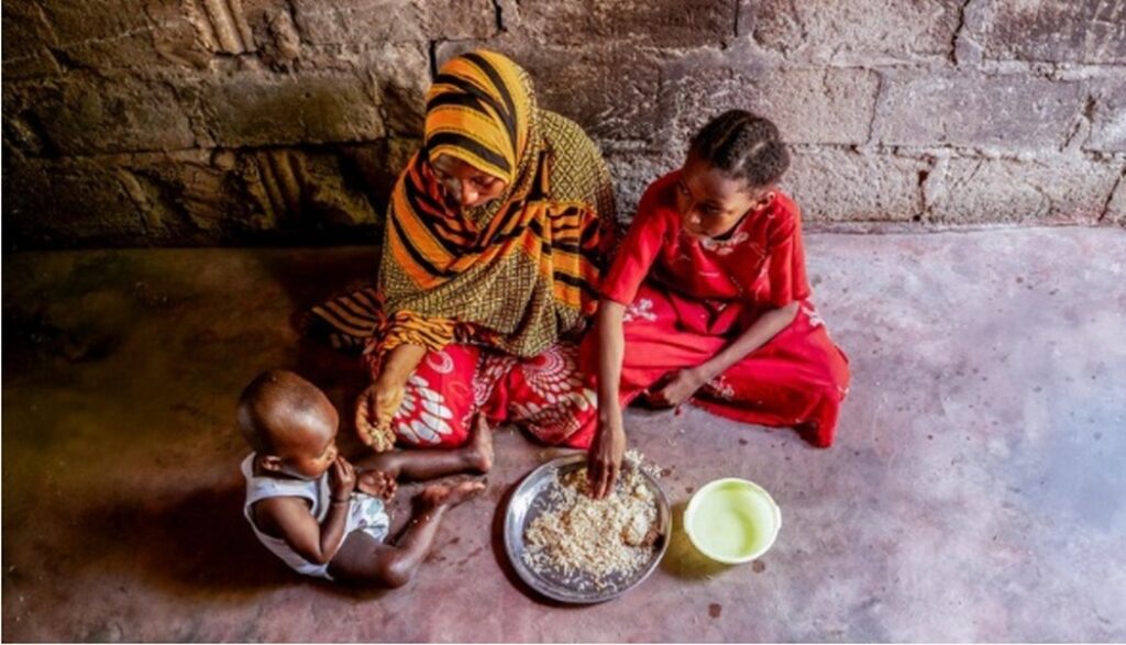 Afrique : des investissements durables pour consolider le recul de la faim (FAO)