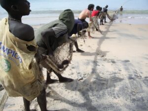 Sénégal : le chômage grimpe à 22,9 % au premier trimestre 2026