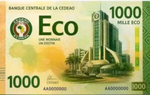 CEDEAO : les défis de la mise en œuvre de l’ECO pour 2027