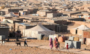 Des eurodéputés réclament un contrôle de l’aide au Polisario