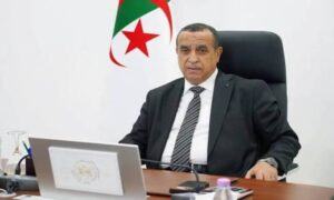 Algérie: revue des projets énergétiques avec le Tchad et le Niger
