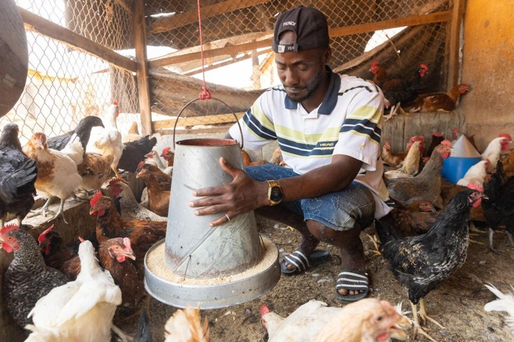 Lamine, du désert à l’aviculture : un parcours soutenu par l’OIM