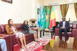 Bamako demande à l’ONU d’intégrer l’AES dans la revue de l’UNOWAS