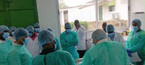 RCI/Tilapia: la FAO outille les acteurs face aux épidémies